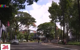 Đề nghị thu hồi 269 bằng thạc sĩ cấp sai quy định