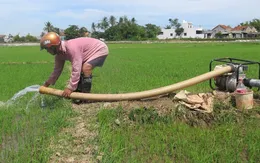 Phú Yên: Khẩn trương chống hạn cho lúa