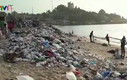 Thế giới đối mặt với tình trạng khẩn cấp về đại dương