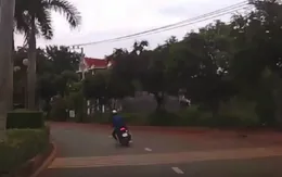 Phóng nhanh khi vào cua, "tổ lái" đâm vào gốc cây rồi bất tỉnh