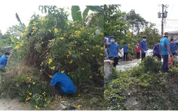 An Giang xử lý hơn 300 ổ dịch sốt xuất huyết