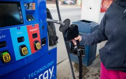 Yêu cầu làm rõ thông tin về vấn đề nhập khẩu và giá xăng dầu của Malaysia