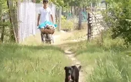 Xu hướng khởi nghiệp với mô hình kinh tế tuần hoàn