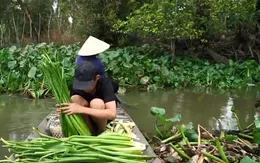 Cặp lá yêu thương: Cậu bé nuôi ước mơ đi học giữa dòng lục bình