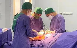 Cứu ngư dân bị cá mập cắn dập nát cẳng chân