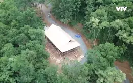 Khi những cánh rừng, đồi xanh dần biến mất