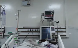 Can thiệp ECMO cứu bệnh nhân sốc sốt xuất huyết nguy kịch
