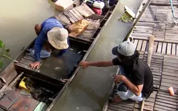 Đời sống ĐBSCL thay đổi khi không còn lũ