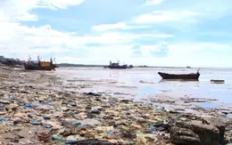 Bờ biển Thanh Hóa tràn ngập rác thải