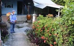 Cảnh báo sốt xuất huyết bùng phát rộng