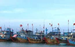 Đầu tư hàng tỷ đồng, tàu cá vẫn không được vươn khơi