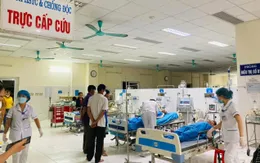 Tăng cường phòng chống ngộ độc do độc tố tự nhiên