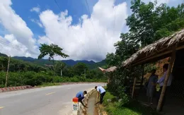 Nghệ An phát hiện thêm 1 trường hợp mắc viêm não Nhật Bản