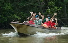 Doanh nghiệp du lịch xoay xở giữ giá tour