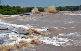 Đê biển Tây sạt lở 110m, Cà Mau công bố tình huống khẩn cấp