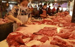 Vì sao giá thịt lợn tăng cao?