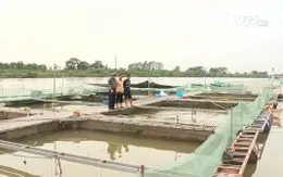 Người thương binh thay đổi một tập quán