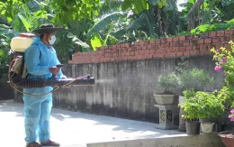 Thủ tướng ban hành công điện về phòng, chống sốt xuất huyết