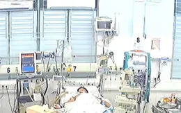 Cứu sống bé trai sốc sốt xuất huyết, suy đa tạng