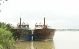 Chủ tàu cá vỏ thép 67 không thể trả nợ vay ngân hàng