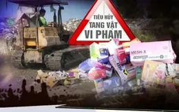 Tiêu hủy hàng tấn hàng hóa, thực phẩm nhập lậu