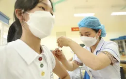 Hơn 263,2 triệu liều vaccine phòng COVID-19 đã được tiêm