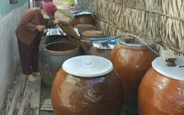 TP. Hồ Chí Minh ghi nhận 24 ổ dịch sốt xuất huyết mới phát sinh