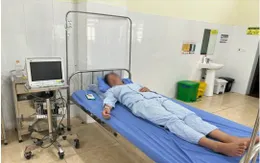 Cảnh báo nguy cơ rắn độc cắn trong mùa mưa