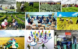 Phát triển kinh tế tập thể - Xu thế tất yếu trong bối cảnh hội nhập quốc tế