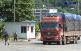 Thông quan hạn chế do phát hiện lái xe nhiễm COVID-19