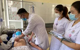 Sơn La: Nhiều người bị ong đốt nhập viện, có trường hợp tử vong