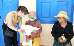 Sốt xuất huyết ở phụ nữ mang thai