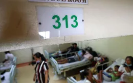 Philippines ghi nhận 319 ca tử vong do sốt xuất huyết