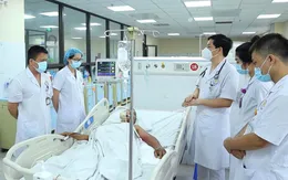 Tự chữa trị tại nhà khi bị rắn độc cắn, người đàn ông suy đa tạng, suýt phải cắt cụt tay