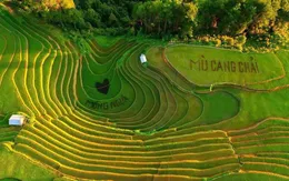 Mù Cang Chải đẹp đến ngẩn ngơ khi "mùa vàng" đang gõ cửa