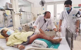 Hoại tử chân, nhiễm khuẩn huyết do nhiễm vi khuẩn Vibrio vulnificus