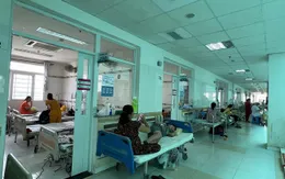 Cần Thơ: Số ca mắc sốt xuất huyết tăng 21 lần so với cùng kỳ năm 2021
