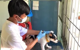 Cà Mau tăng cường các biện pháp phòng, chống bệnh dại