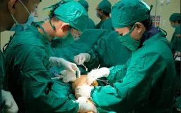 Cứu bệnh nhân gãy hàng loạt xương chân do tai nạn giao thông