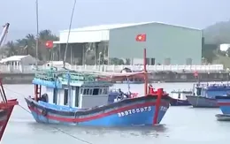 Giá dầu giảm, tàu thuyền nhộn nhịp ra khơi