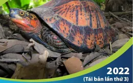 Ra mắt Sách hướng dẫn định dạng các loài rùa cạn và rùa nước ngọt Việt Nam 2022