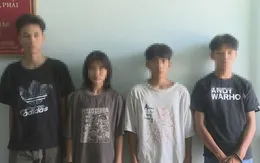 Bình Định bắt băng nhóm trộm cắp tài sản