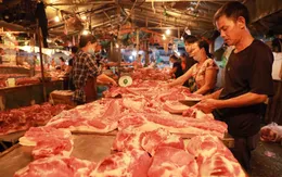 Giá lợn hơi giảm mạnh