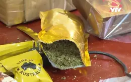 Loại ma túy ngụy trang sản phẩm tăng cường sinh lực