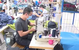 Tháo gỡ khó khăn cho doanh nghiệp tiếp nhận lao động khuyết tật