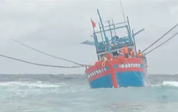 Cứu hộ tàu cá Bình Định mắc cạn tại Trường Sa