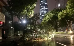 Bão áp sát đất liền, Đà Nẵng mưa to, giông gió lớn