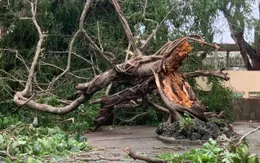 Quảng Nam ngổn ngang sau khi bão số 4 càn quét