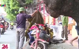 Người dân nghĩ gì về lộ trình áp dụng kiểm định khí thải xe máy?