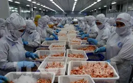 Giá trị xuất khẩu nông, lâm, thuỷ sản đạt 72% mục tiêu cả năm